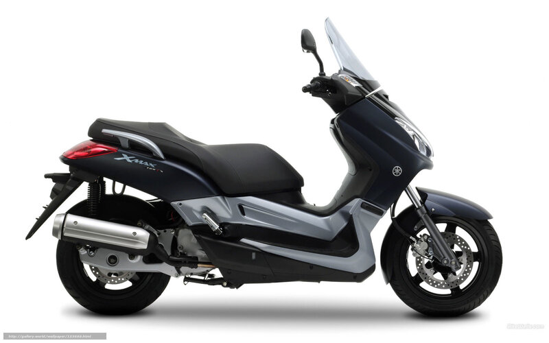 Dark Blue Scooter — Black, Neutral