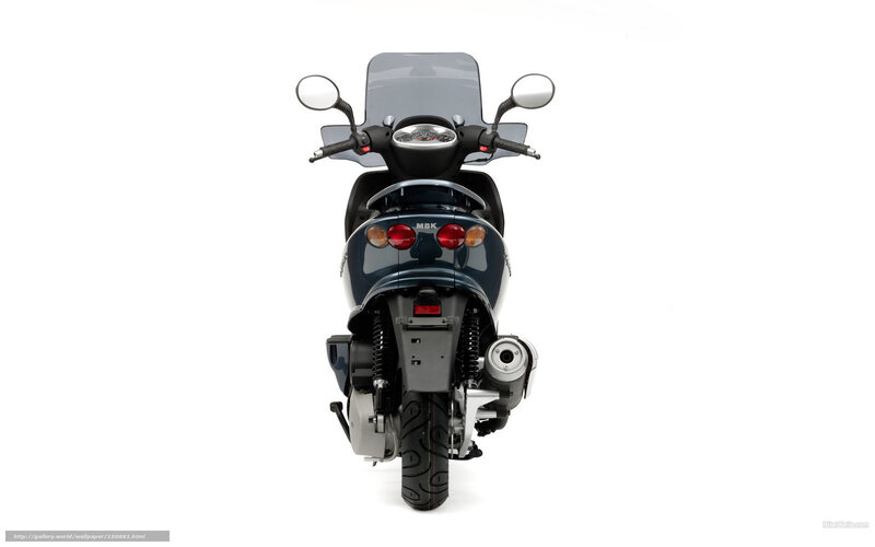 Dark Blue Scooter — Neutral, Photograph, Rear View