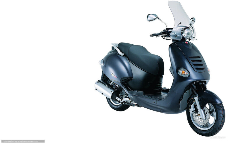Dark Blue Scooter