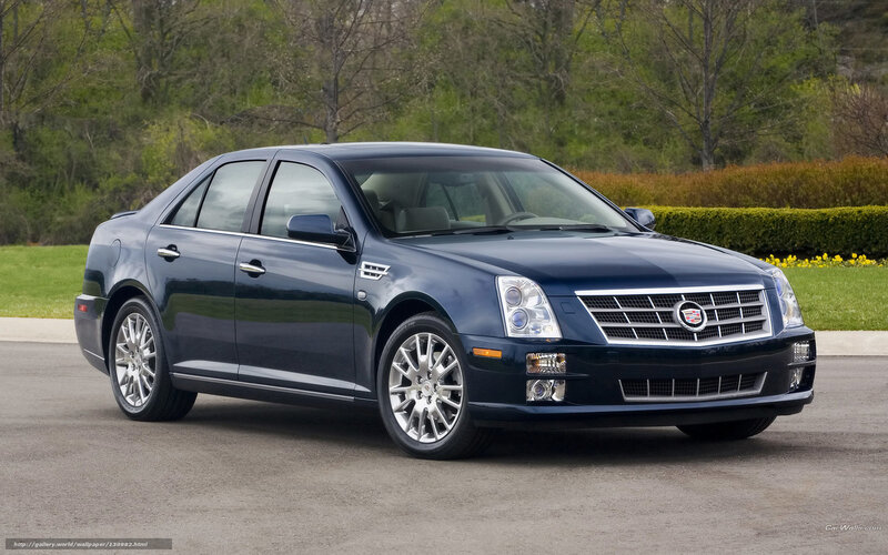 Dark Blue Sedan Car — Calm, Spring