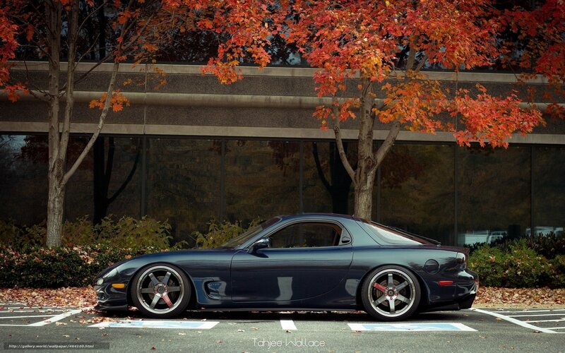 Dark Blue Sports Car — Calm, Autumn, Photograph