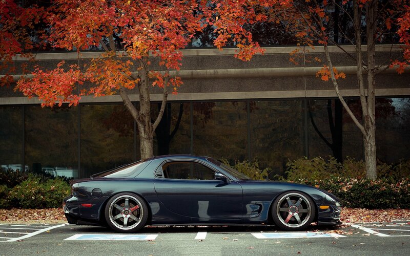 Dark Blue Sports Car — Calm, Autumn
