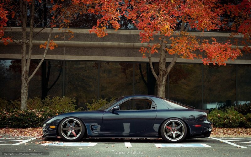 Dark blue sports car in autumn