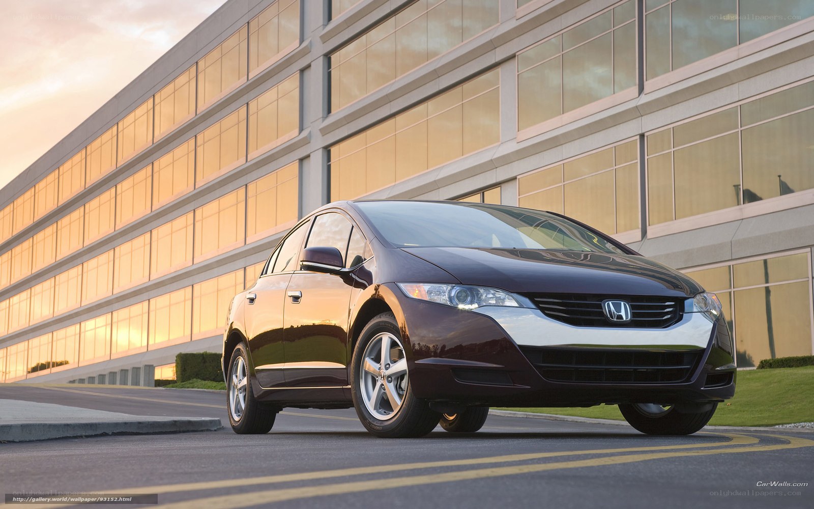 Dark brown Honda Insight