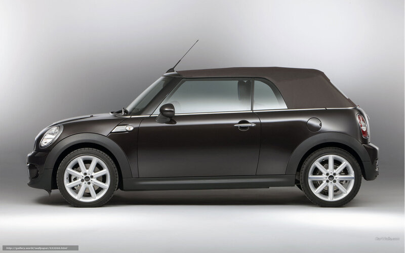 Dark Brown Mini Cooper