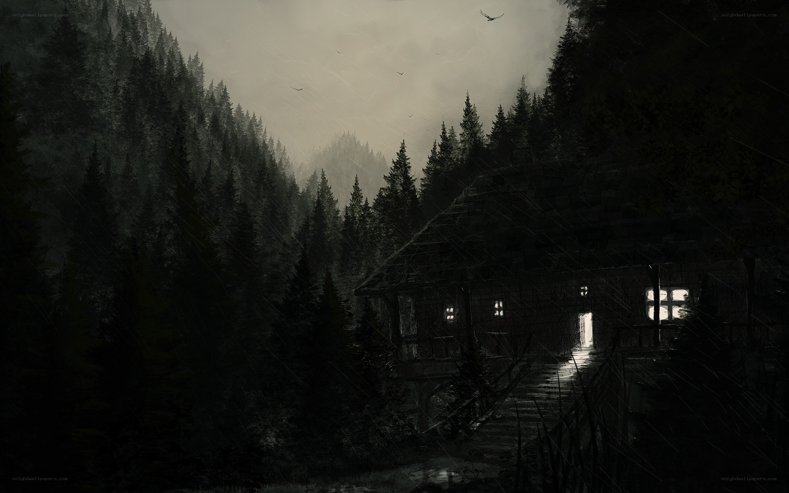 Dark cabin in a rainy forest