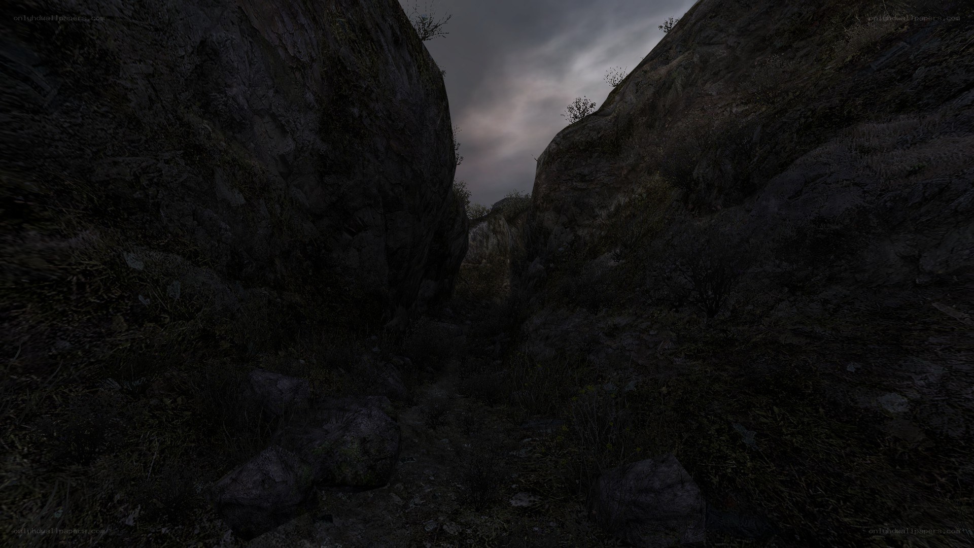 dark canyon at dusk