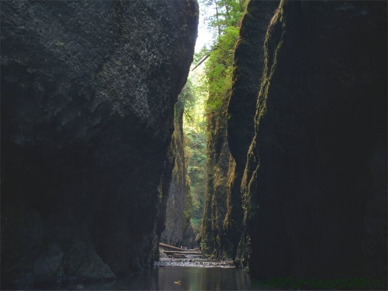 dark canyon with river