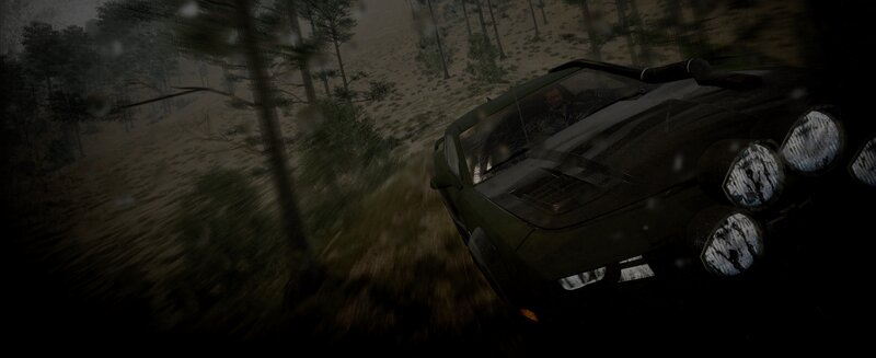 Dark Car in Forest