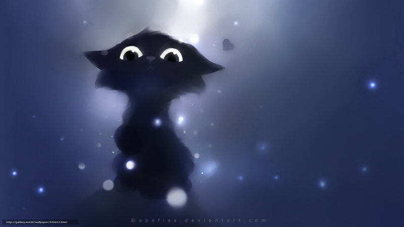 dark cat in glowing mist