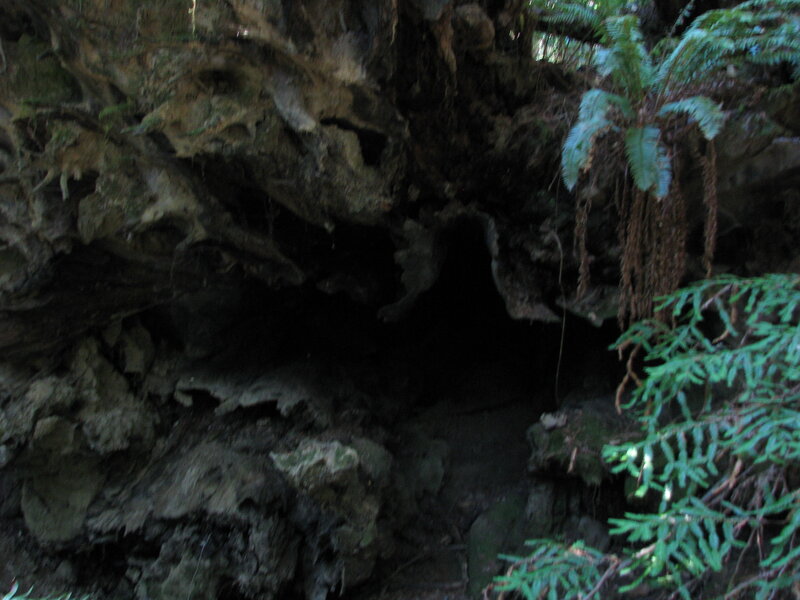 Dark Cave Entrance — Green