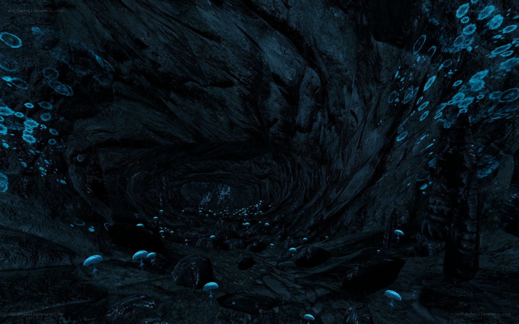 dark cave with glowing mushrooms