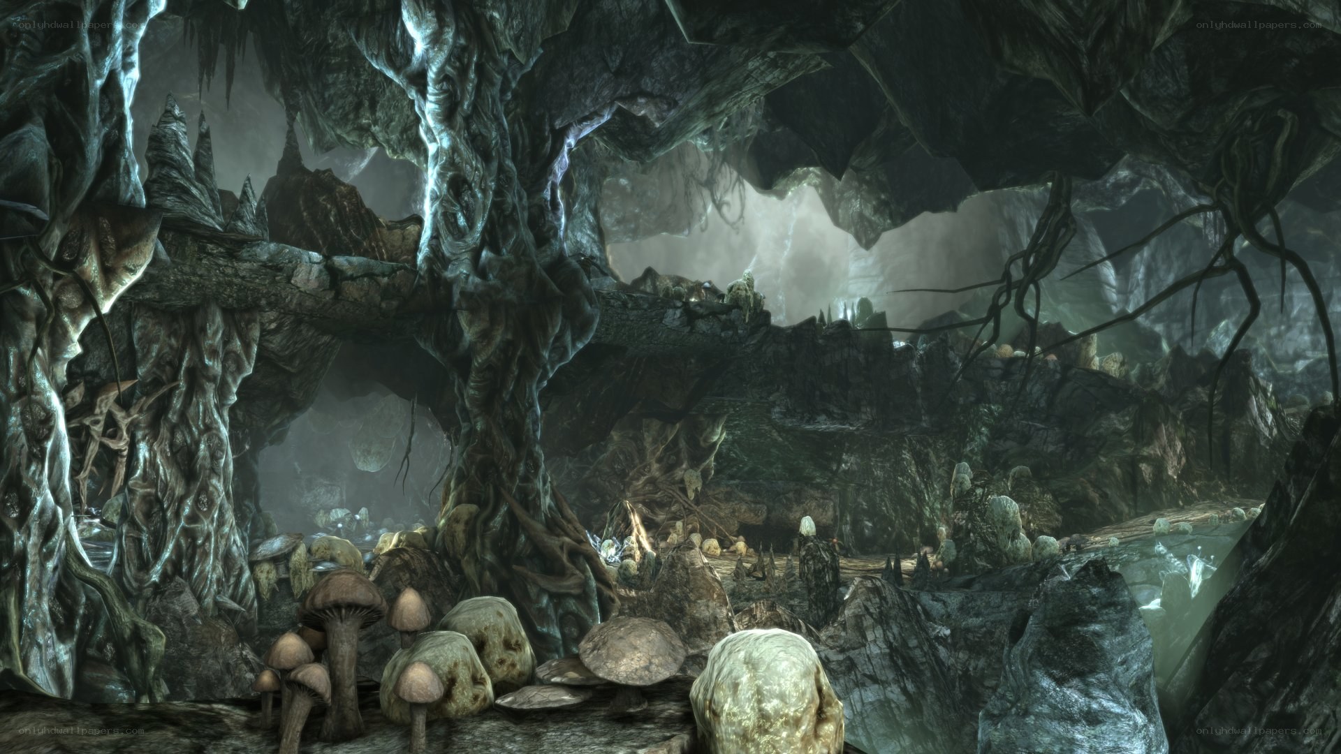 dark cave with mushrooms