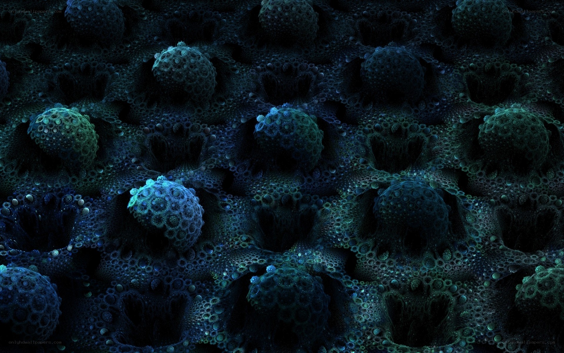 dark cellular structure