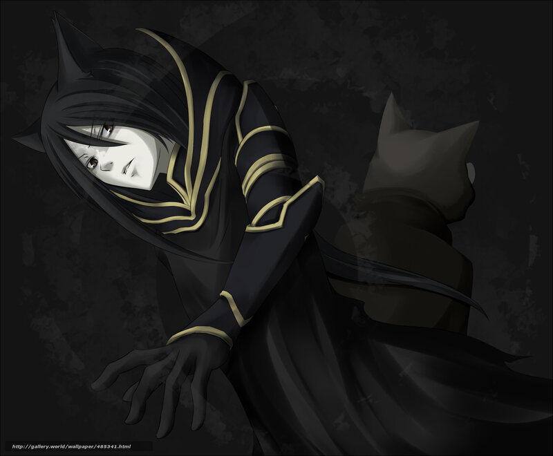 dark cloaked figure with cat ears