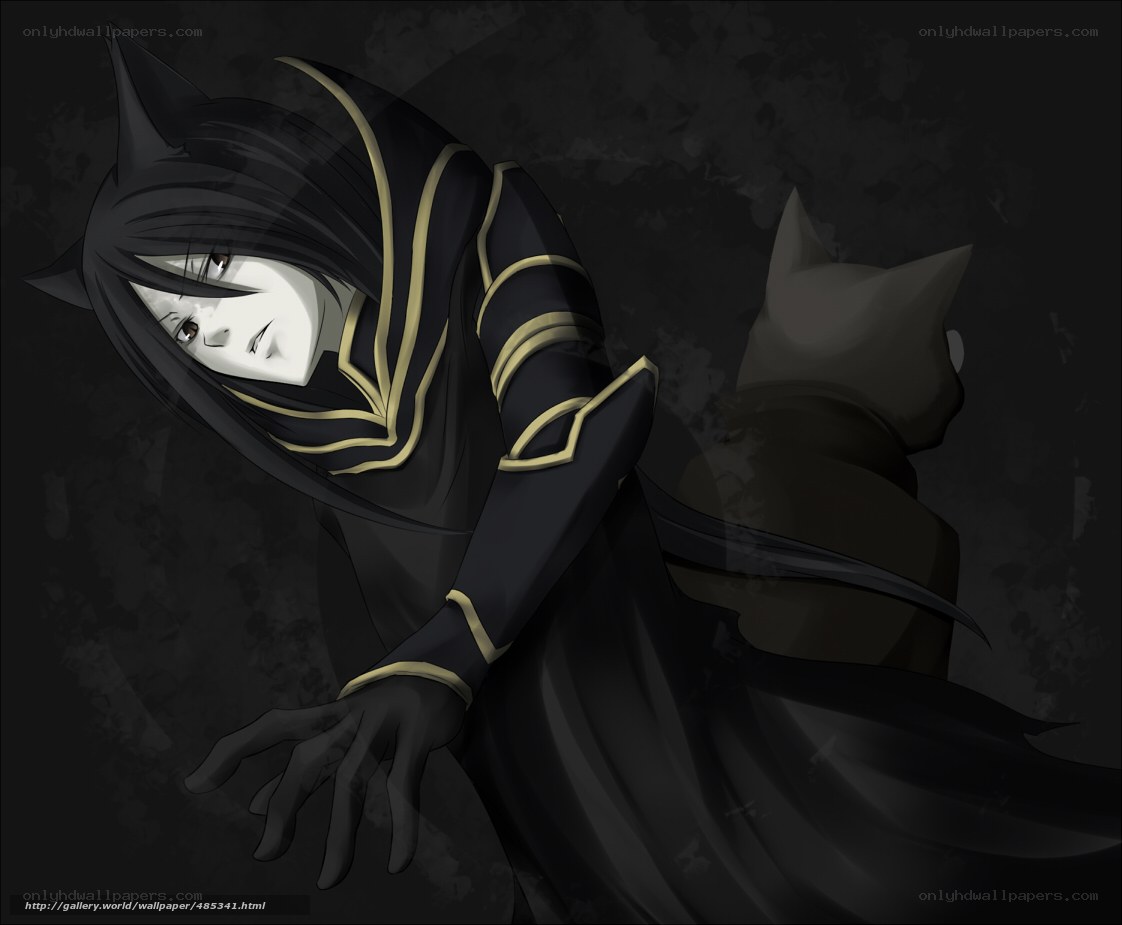 dark cloaked figure with cat ears