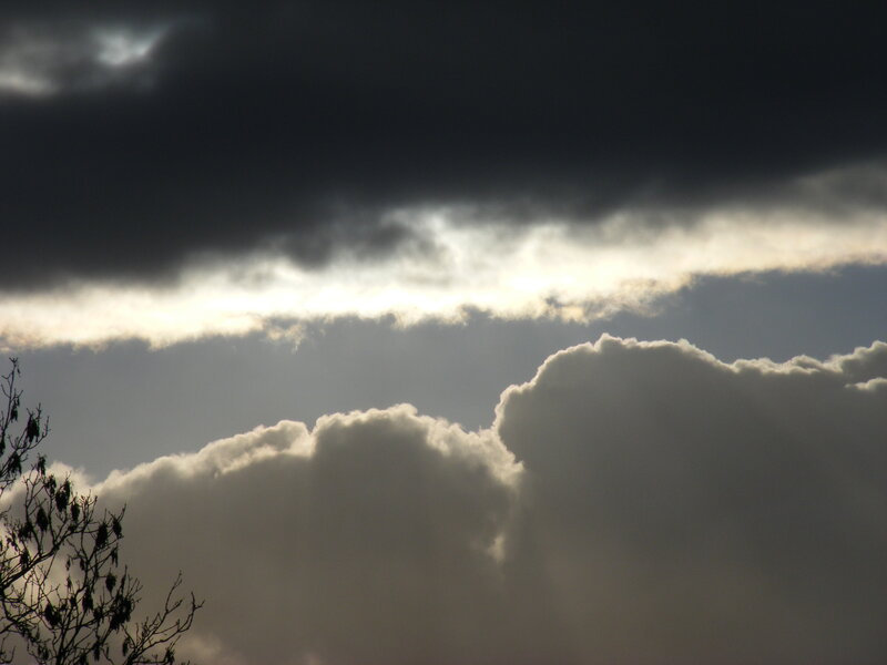 Dark Clouds in Sky — Gray, Dramatic, Photograph, Tree Branches