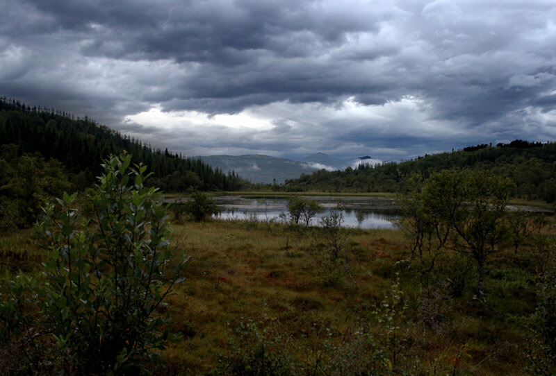 Dark clouds over a marshy landscape