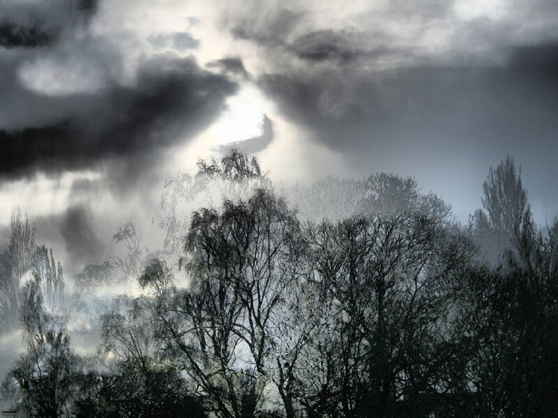 Dark clouds over bare trees