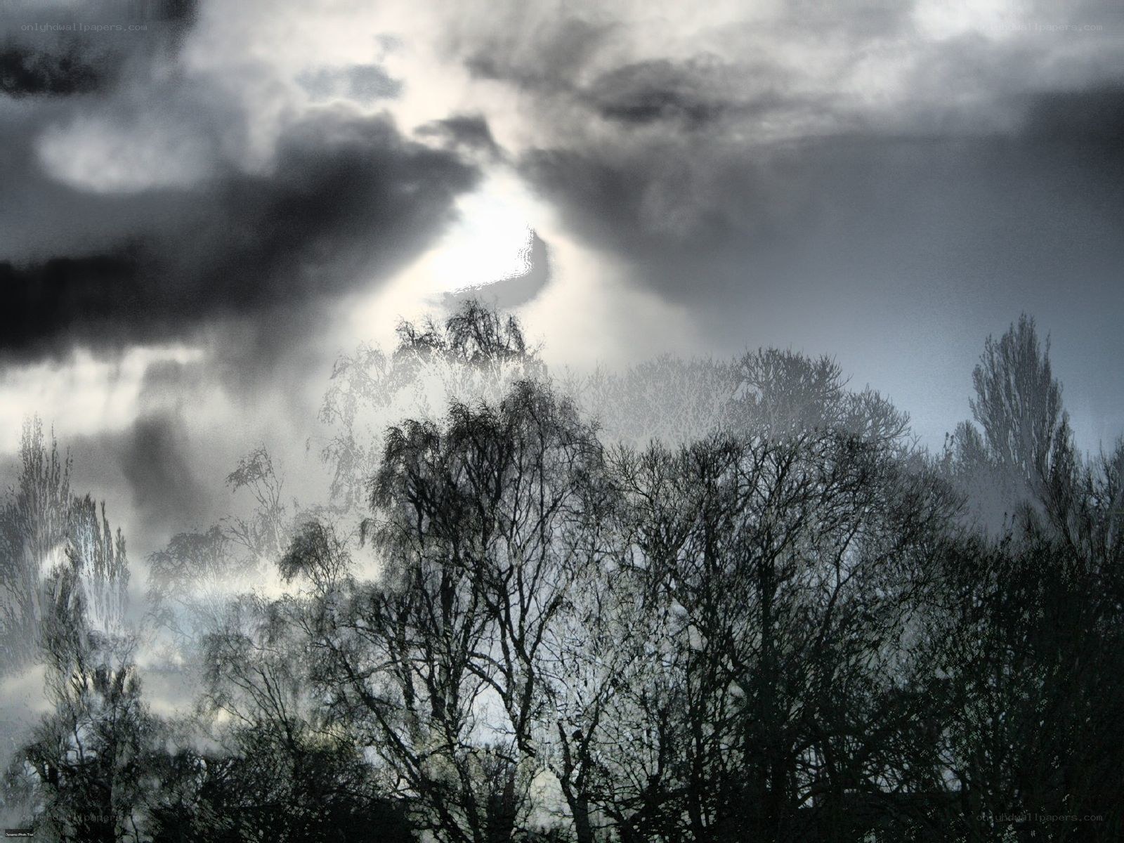 Dark clouds over bare trees