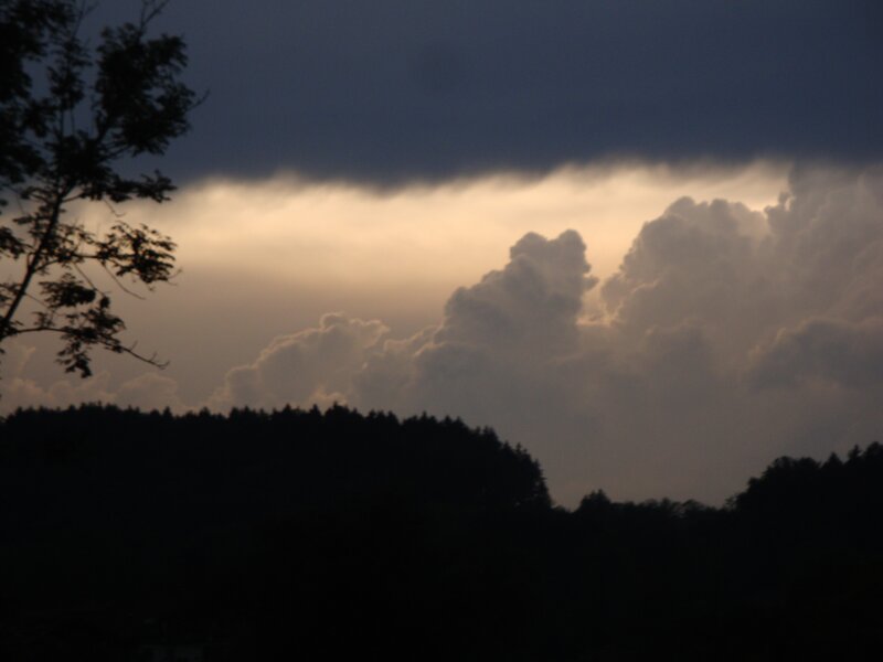 dark clouds over forest silhouette