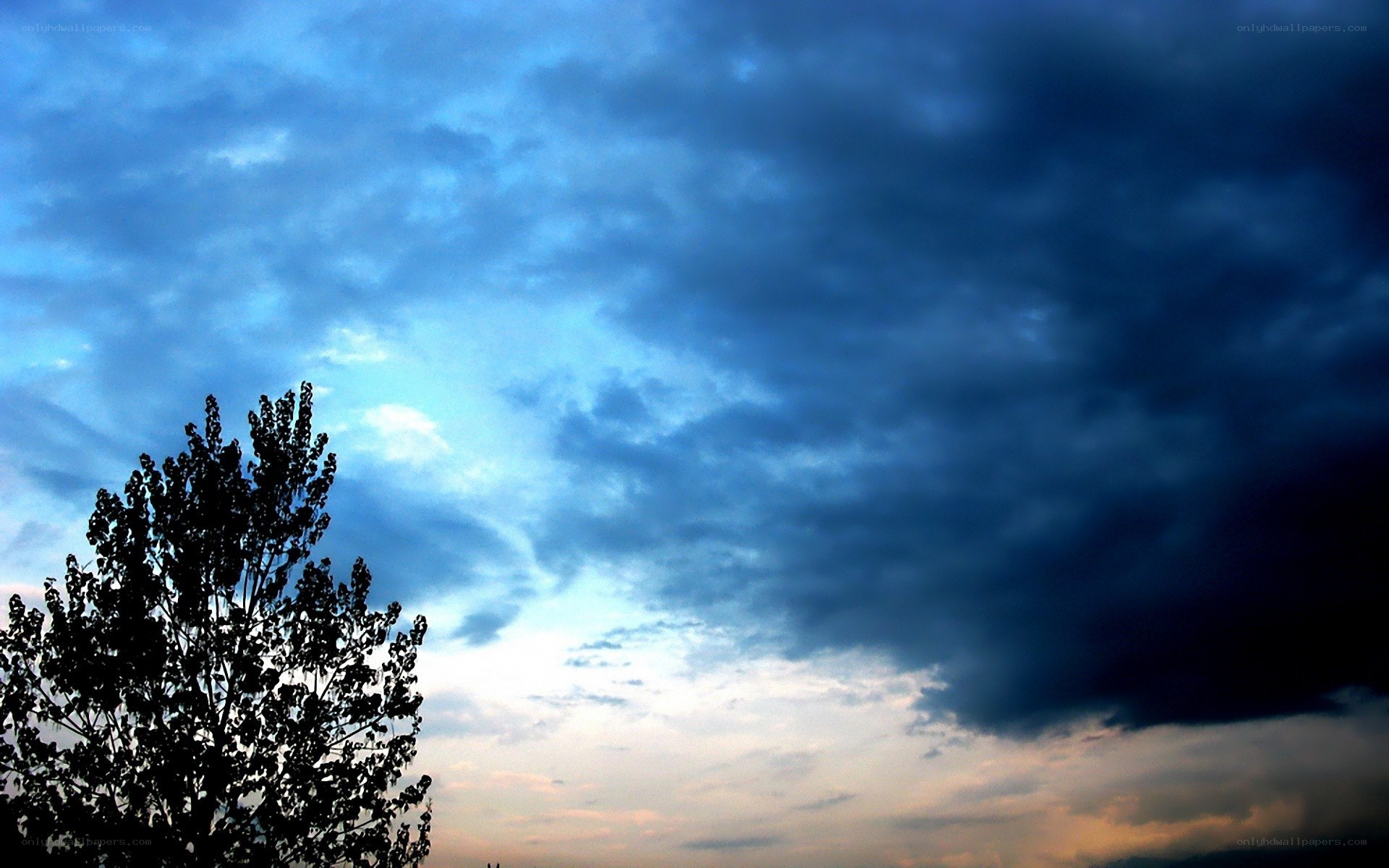 dark clouds over tree silhouette