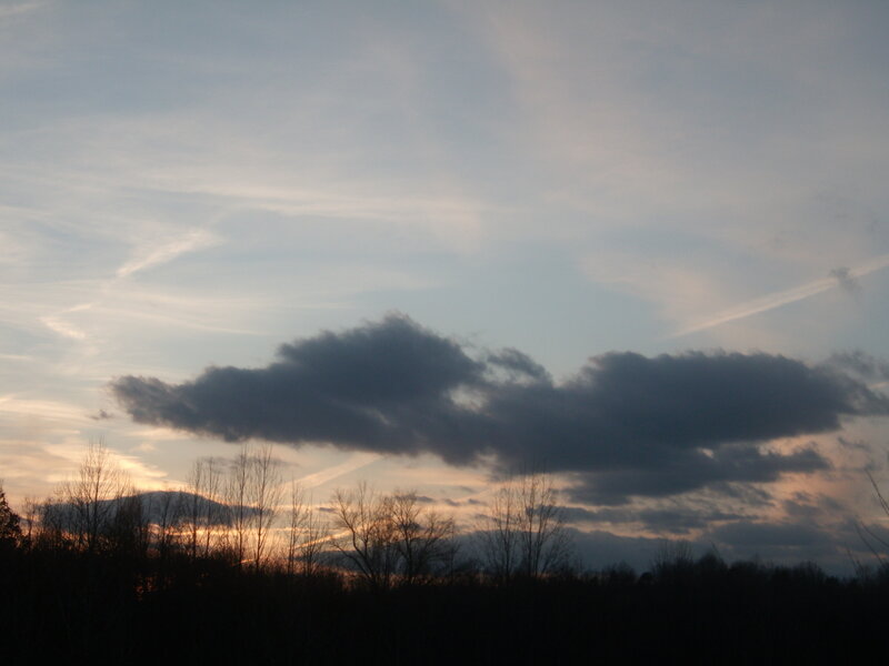 Dark Clouds over Trees — Gray, Dramatic, Sunset
