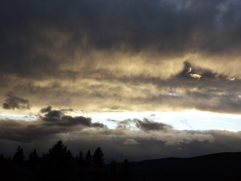 Dark Clouds over Trees — Gray