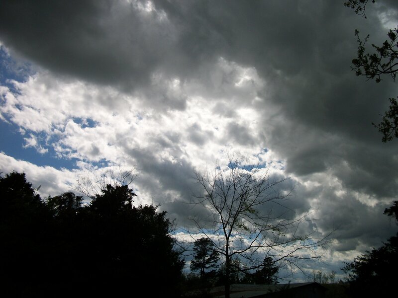 Dark Clouds over Trees