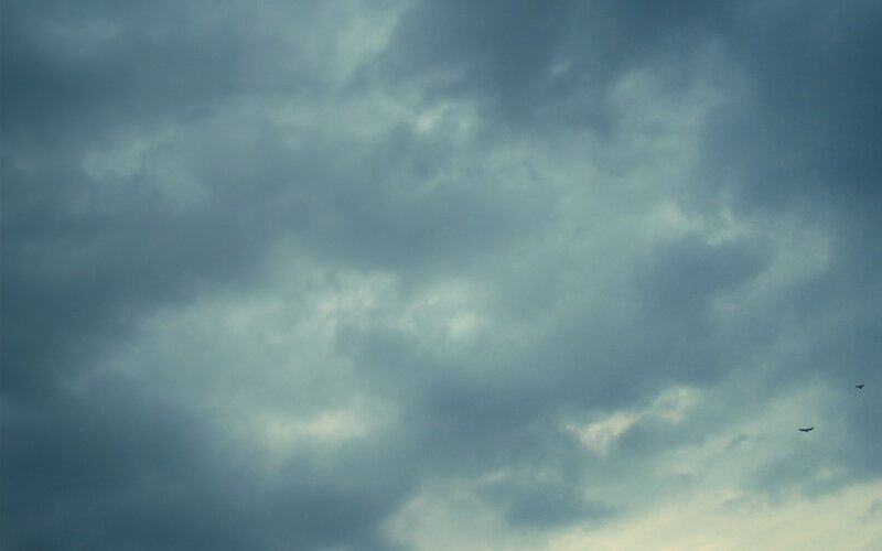 dark clouds with birds