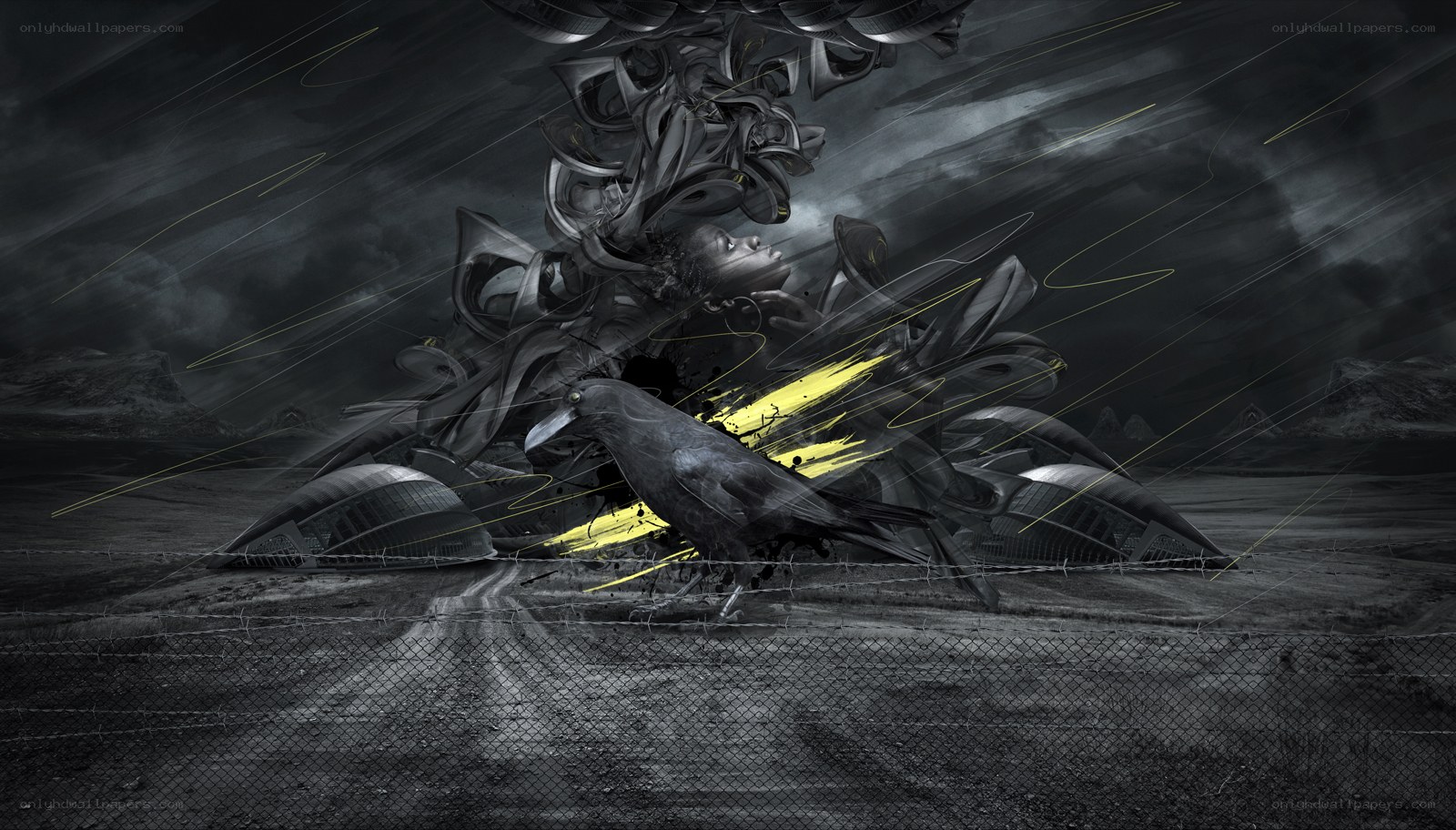 Dark crow in a stormy landscape