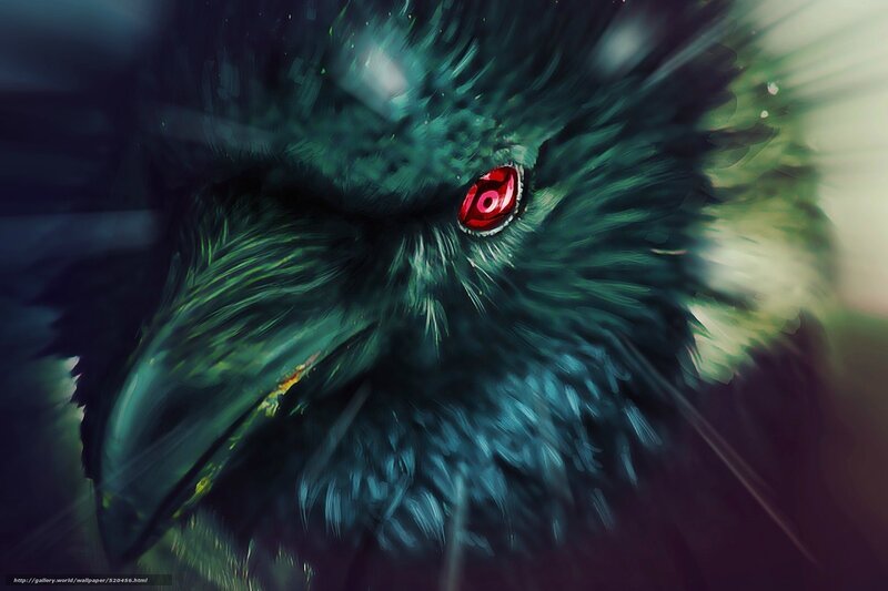 dark crow with red eye