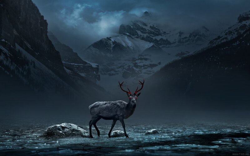 Dark deer in icy mountains