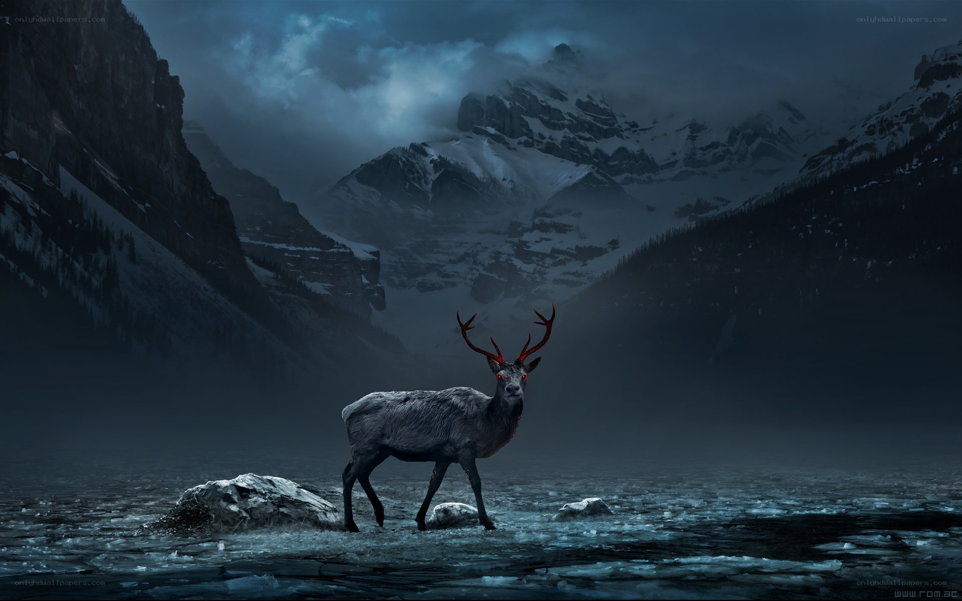 Dark deer in icy mountains