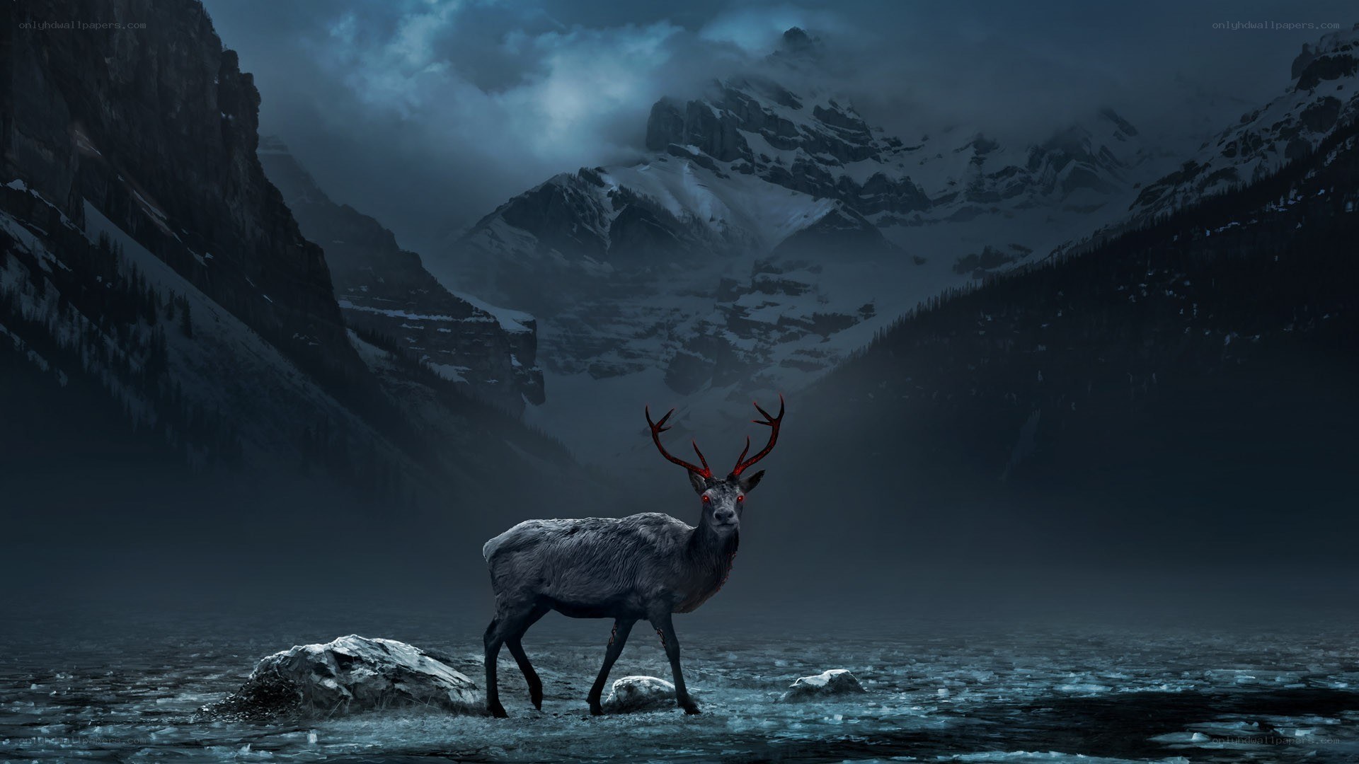 dark deer in snowy mountains