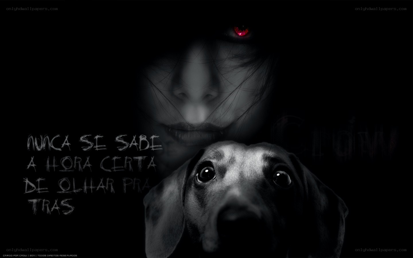 Dark dog with glowing eyes