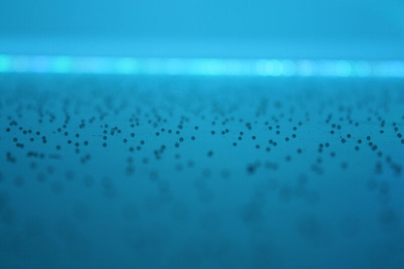 Dark Dots on Blue Surface