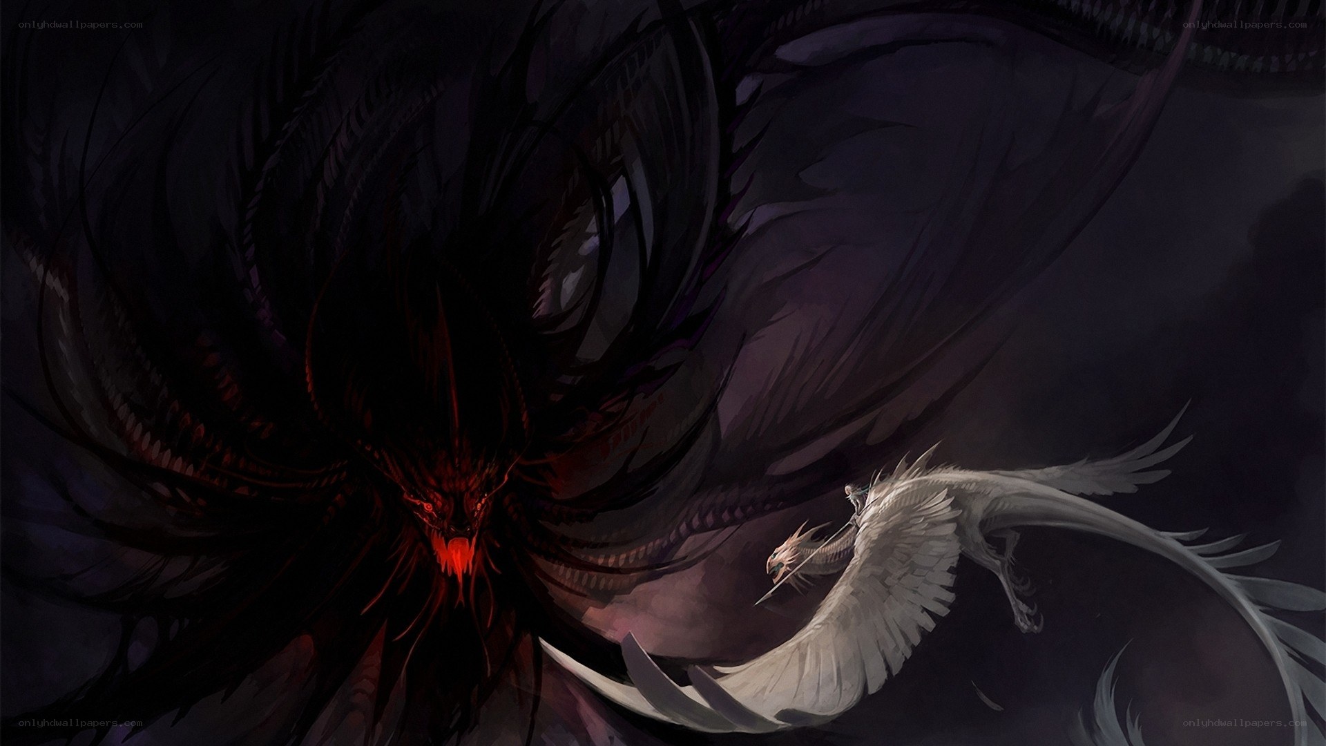 Dark dragon confronts white phoenix