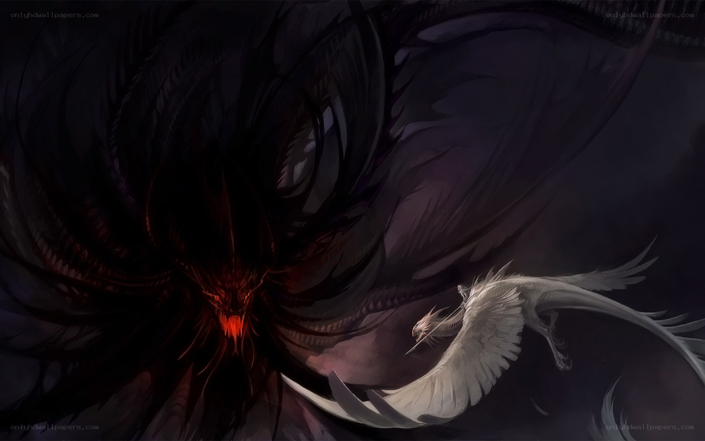 Dark dragon confronts white wyvern