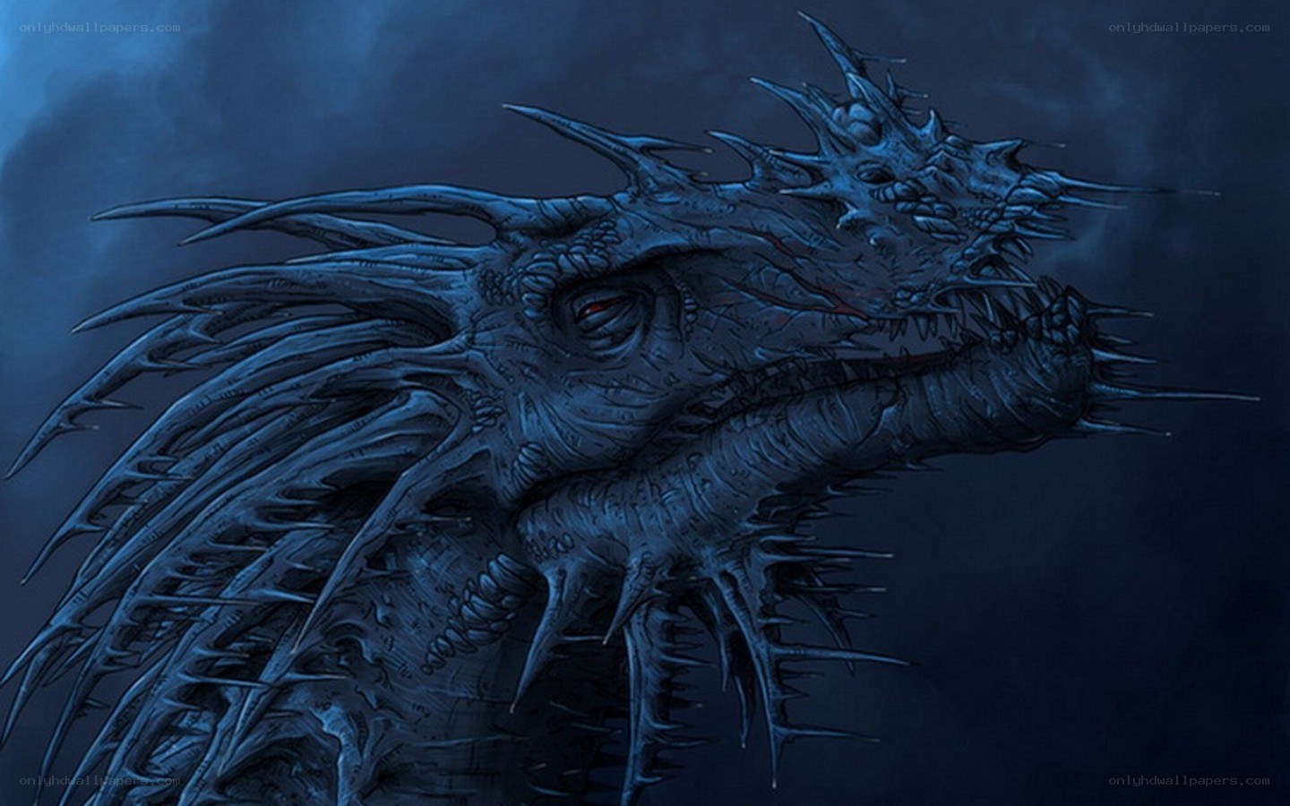 dark dragon head portrait