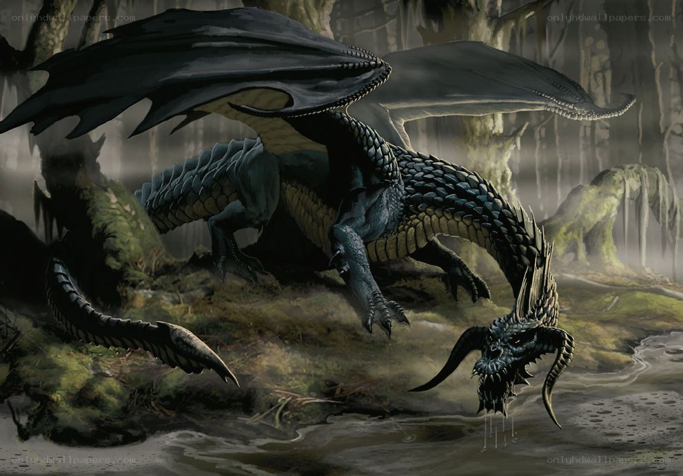 Dark dragon in a swamp
