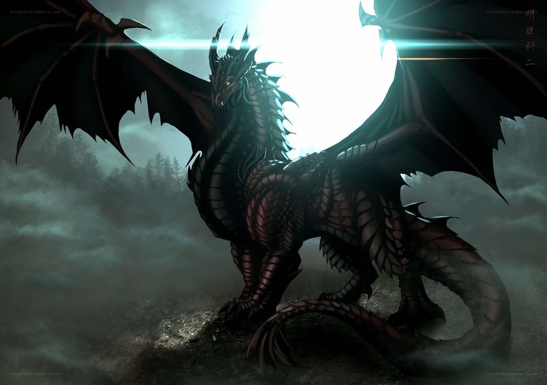 Dark dragon in misty forest