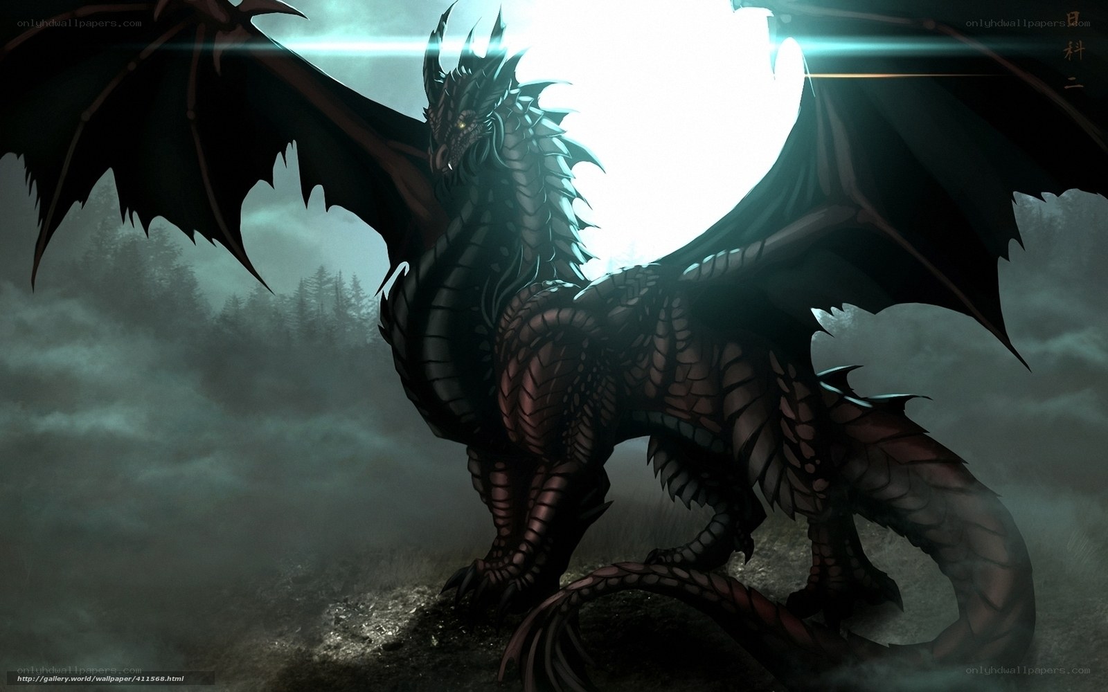Dark dragon in misty forest