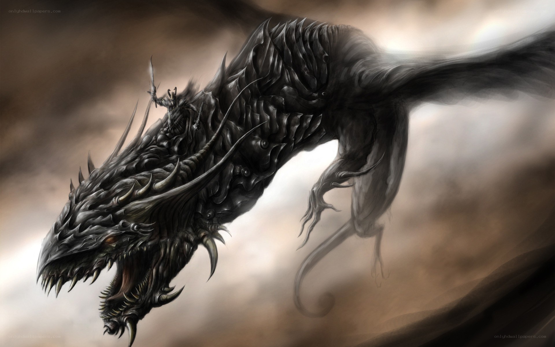 Dark dragon in stormy sky