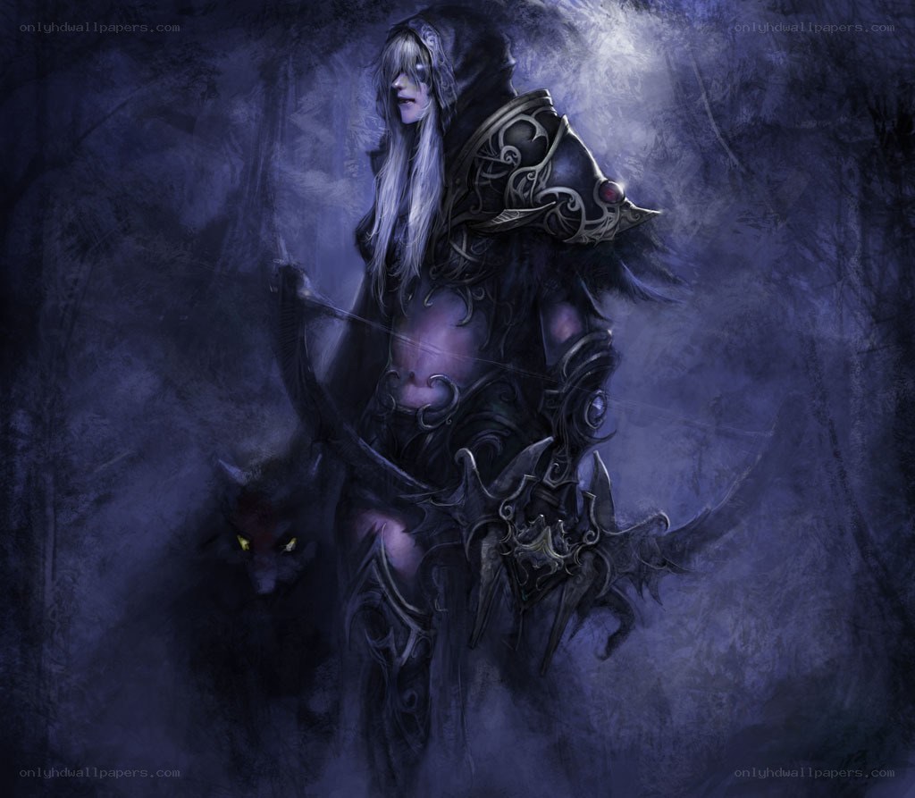 dark elf archer in shadow
