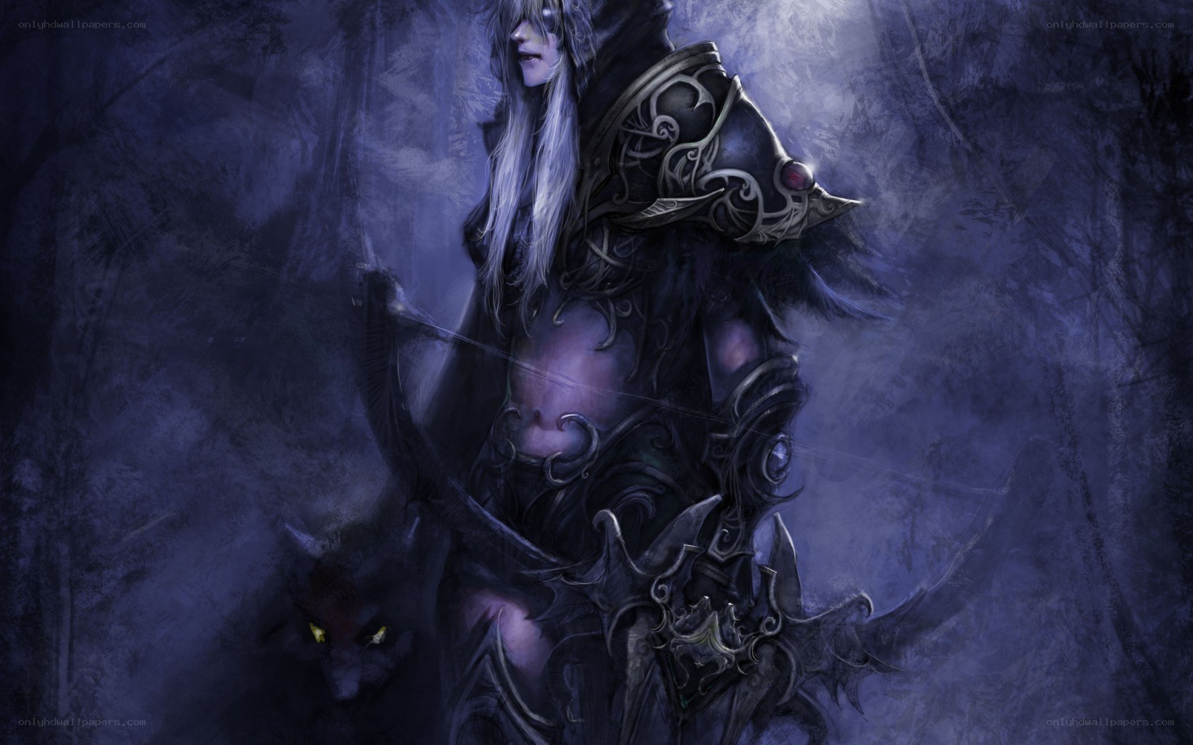 dark elf archer with wolf