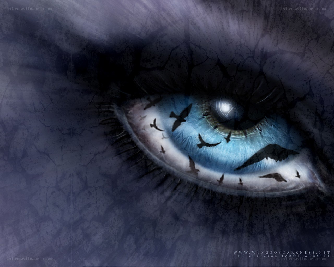 Dark eye with birds