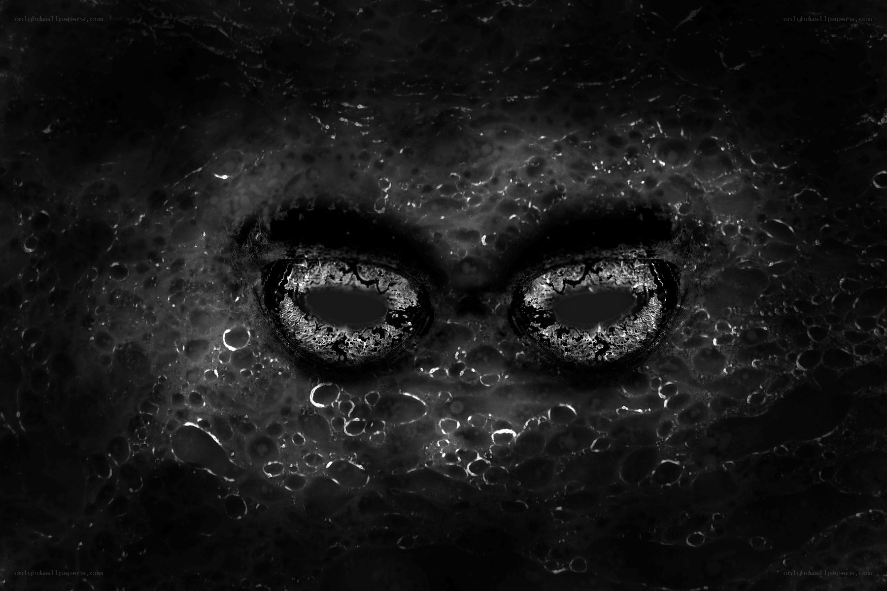 dark eyes in textured surface