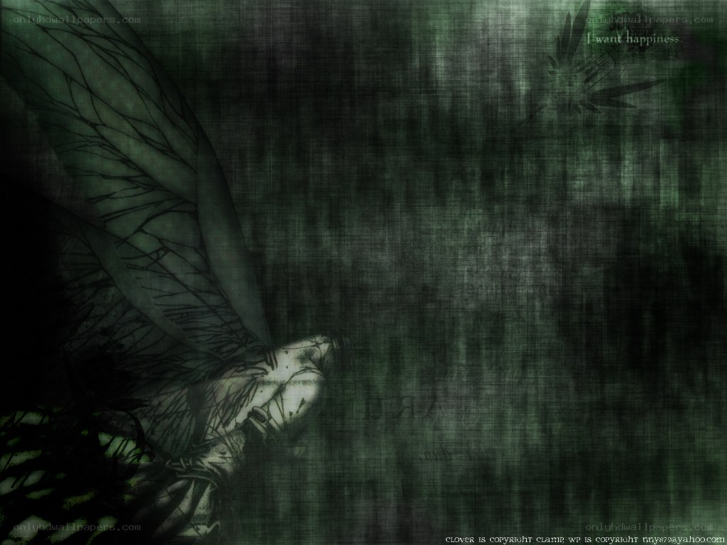 dark fairy wing background