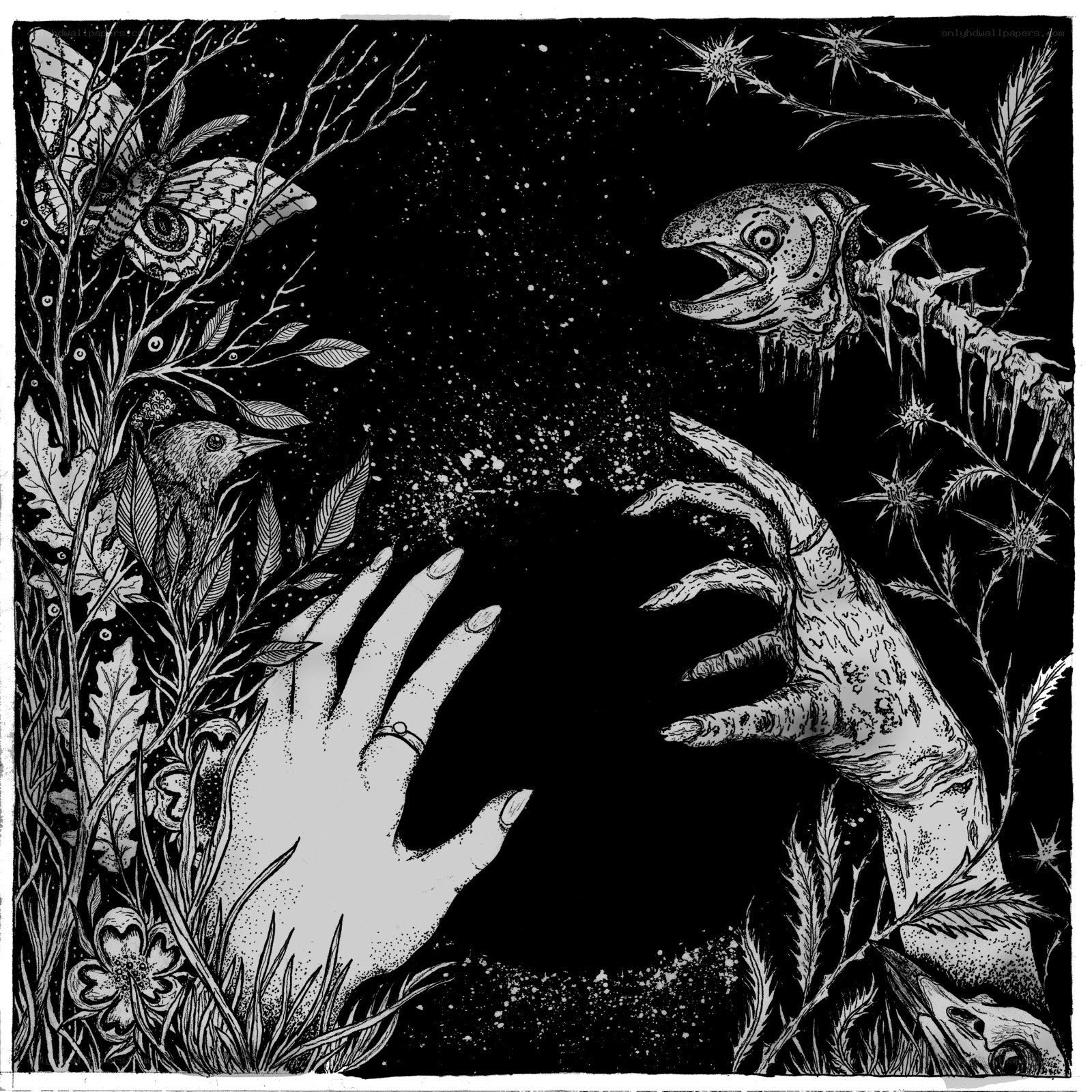 Dark fantasy hand illustration